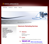 Electronic Marketing Services - Home PageThumbnail